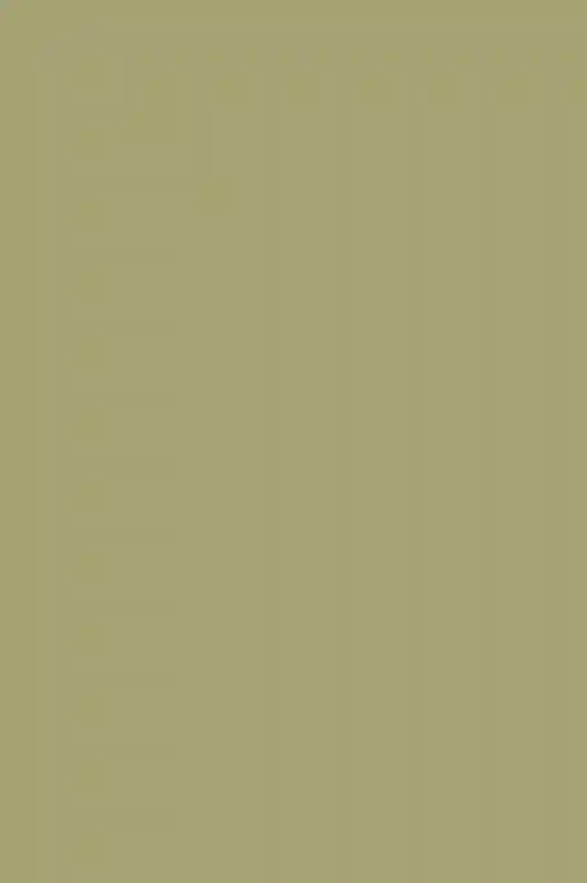 A Colorful Wedding for Deanna and Jason