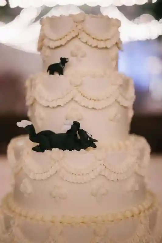 An Estate Wedding for Delaney and Kyle