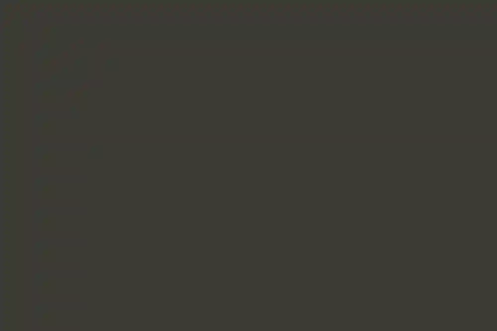 A Formal Wedding for Bianca and Will