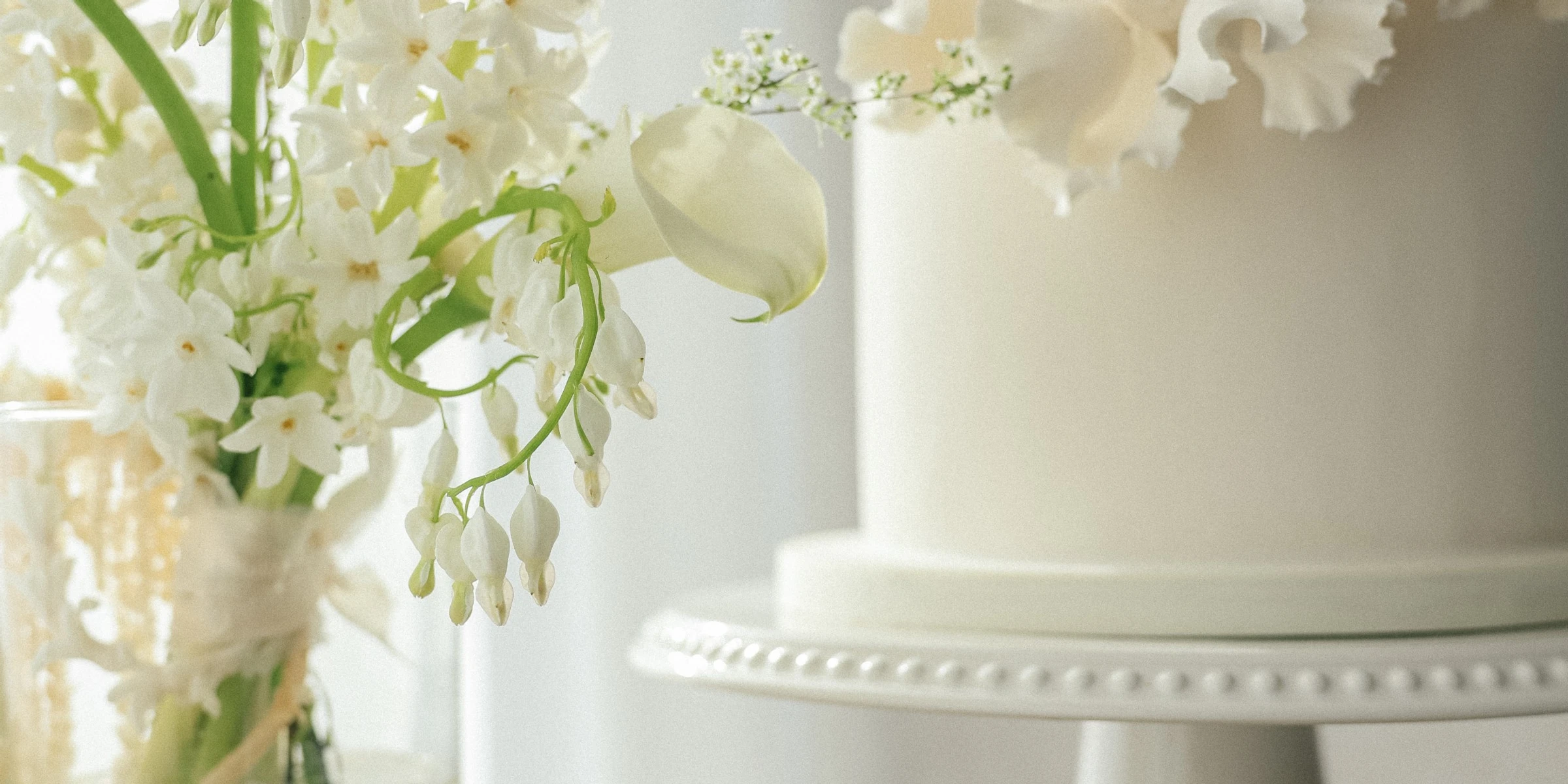 Divine Design Photography
