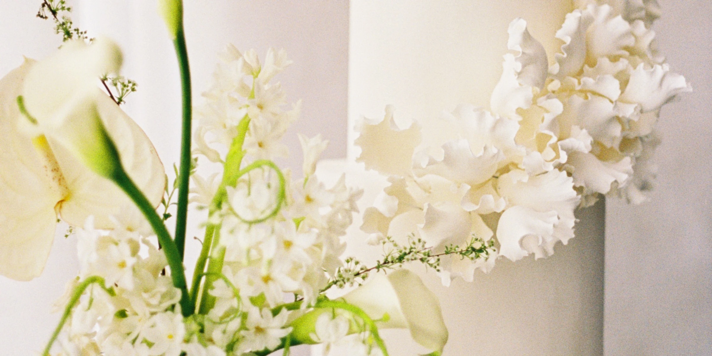 Divine Design Photography