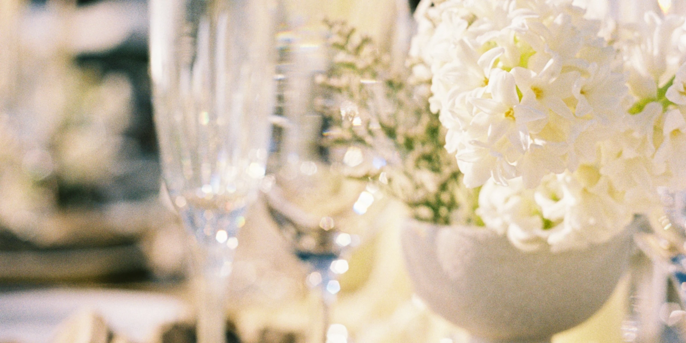 Divine Design Photography