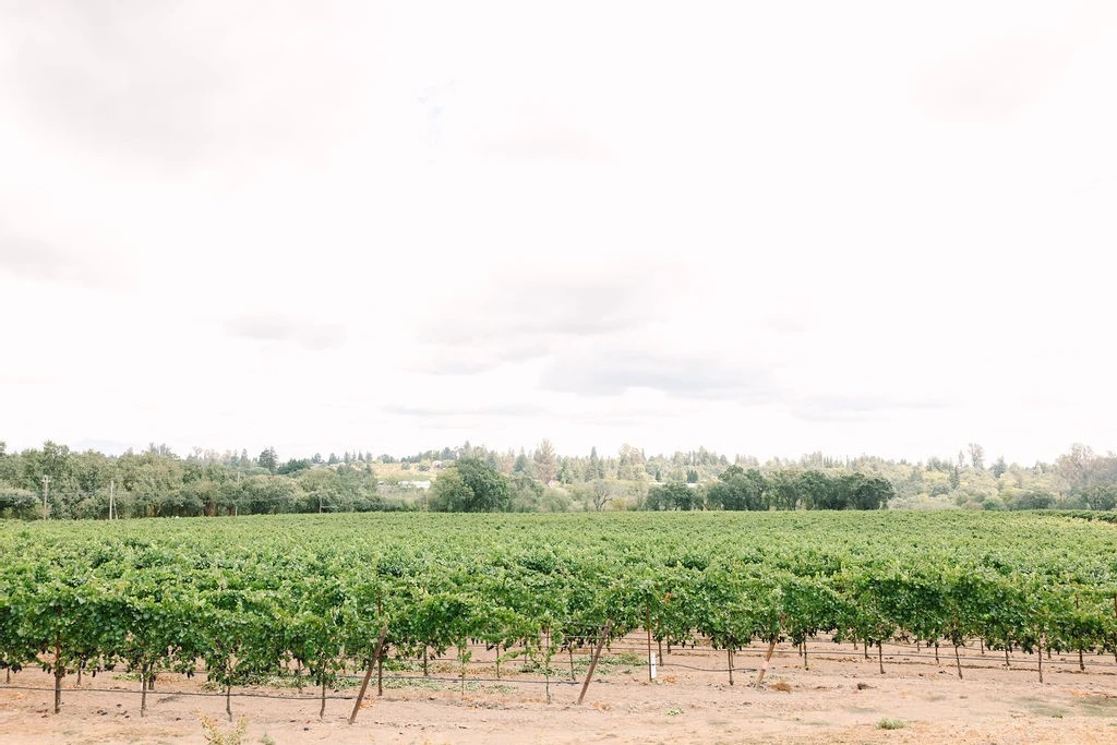 Dutton Estate Winery