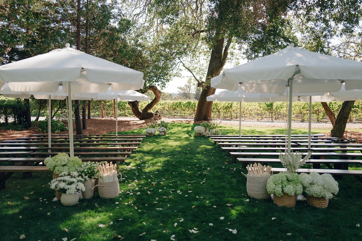 Dutton Estate Winery