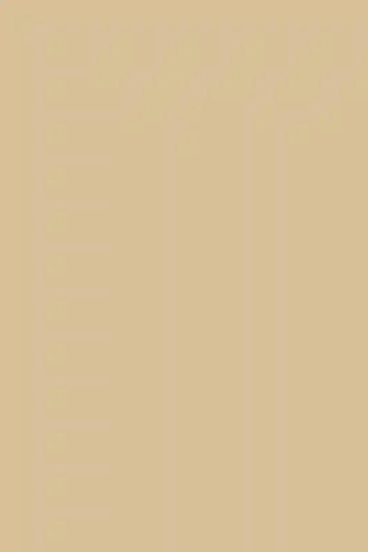 A Wedding for Lauren and Ryan