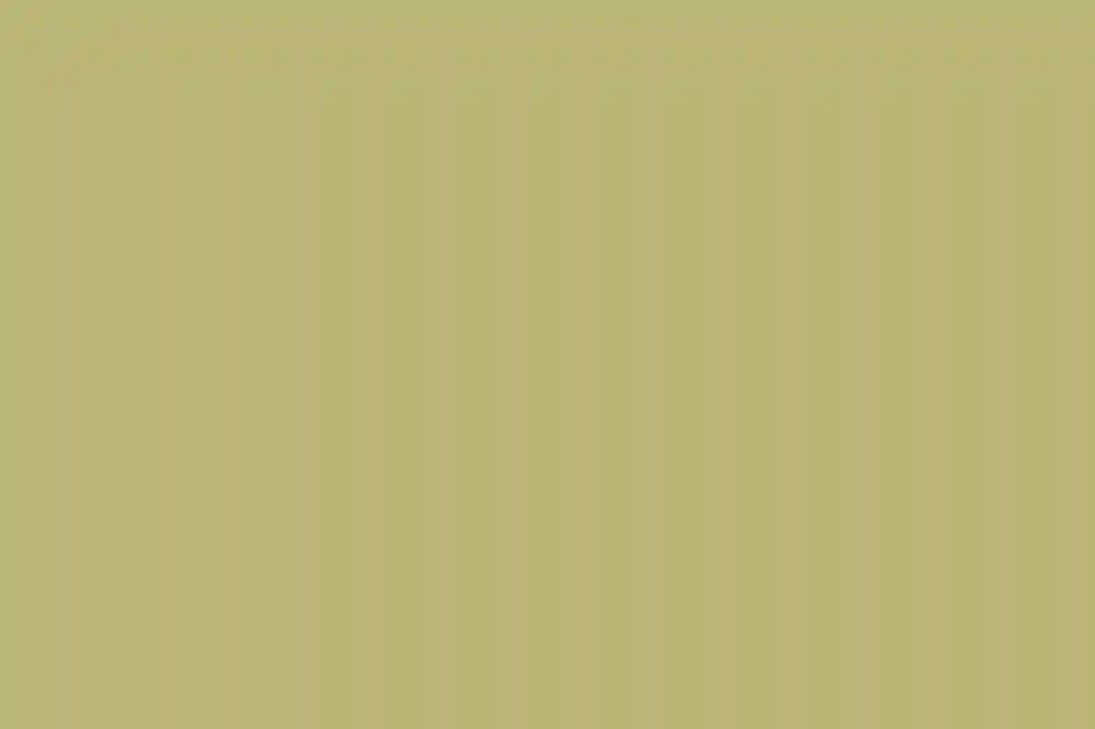 A Rustic Wedding for Elana and Joshua