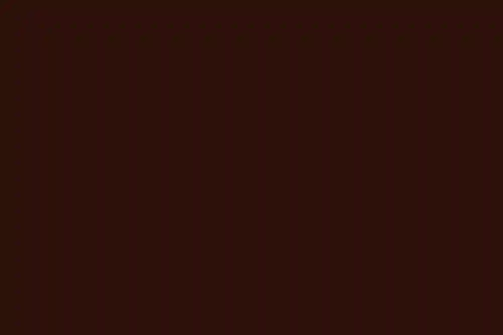 A Wedding for Aileen and Manoj