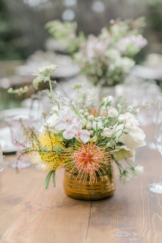 An Outdoor Wedding for Alissa and Kyle