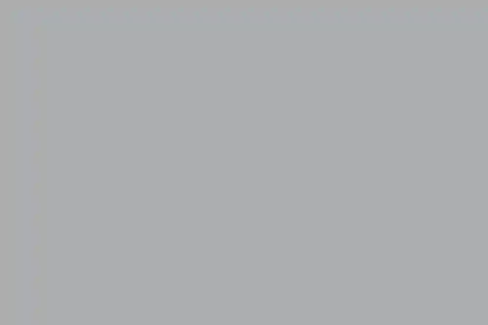 A Wedding for Ariel and John