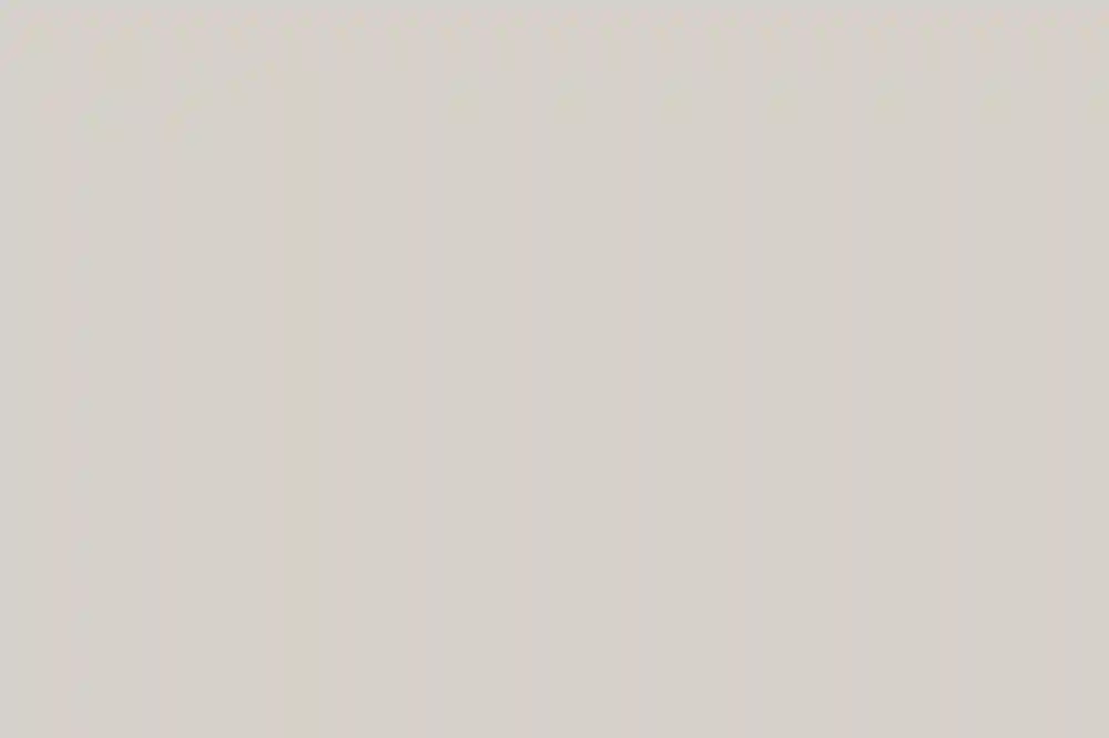 A Classic Wedding for Tasha and Jeff