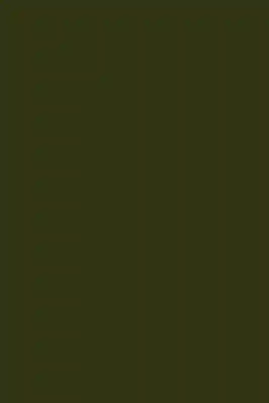 A Wedding for Ariel and John