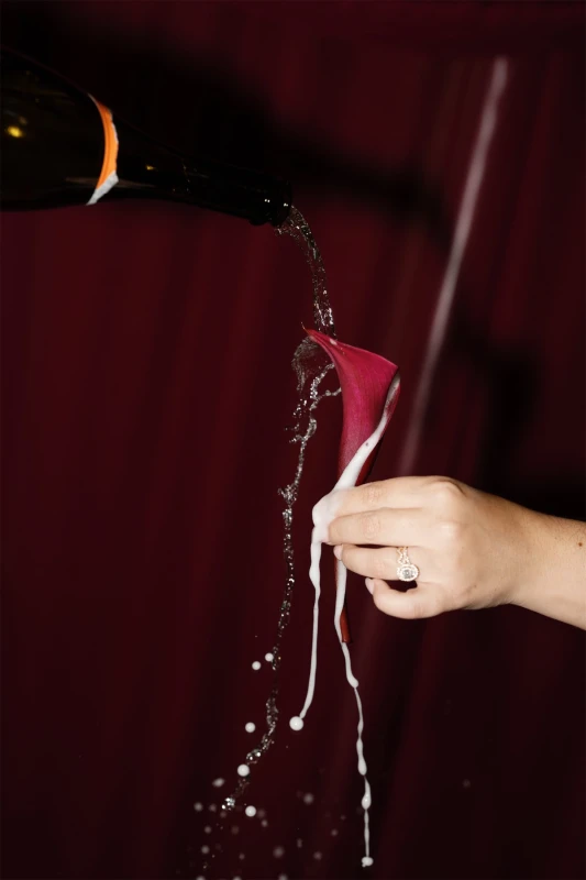 A Cherry Coded Editorial for Olivia and James