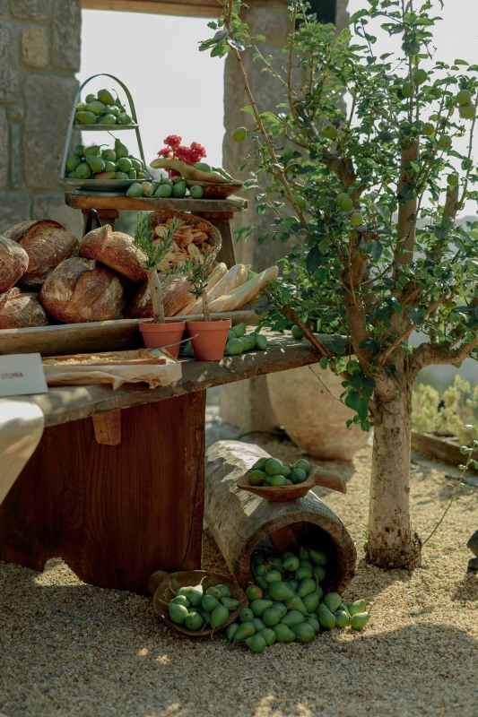 A Boho Wedding for Ege and Akin