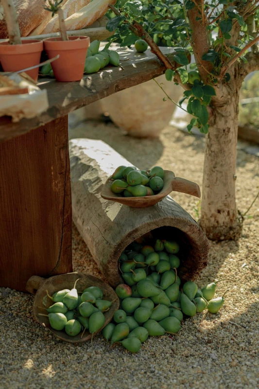 A Boho Wedding for Ege and Akin