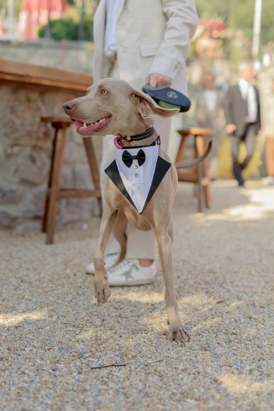 A Boho Wedding for Ege and Akin