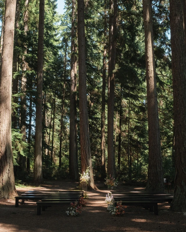 A Forest Wedding for Elanor and Ryan