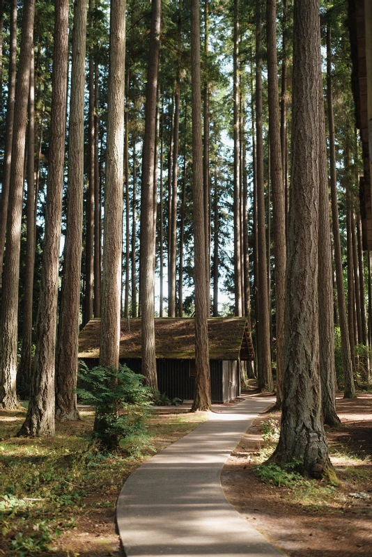 A Forest Wedding for Elanor and Ryan