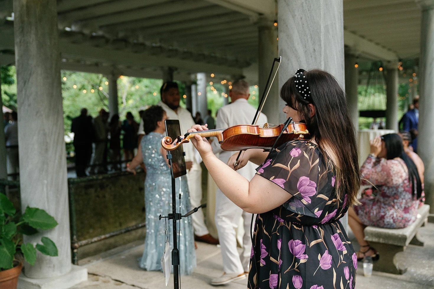 Elegant Violin