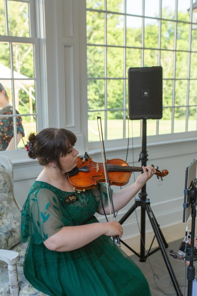 Elegant Violin
