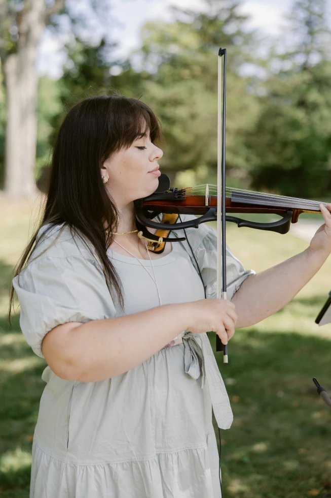 Elegant Violin