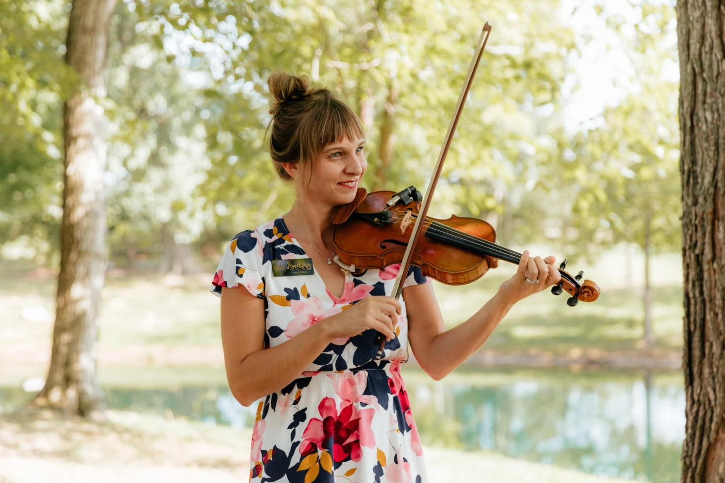 Elegant Violin