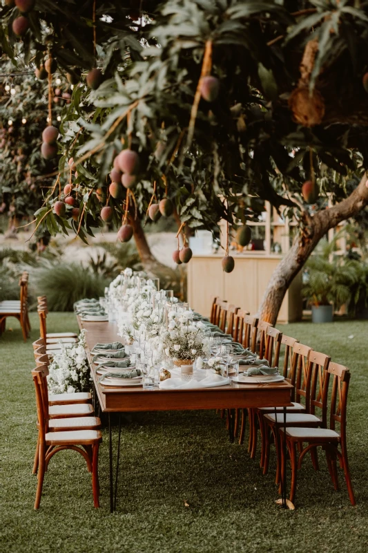 A Boho Wedding for Elise and Taylor