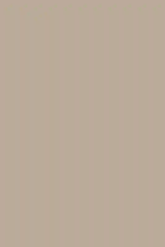 A Formal Wedding for Elizabeth and Louis