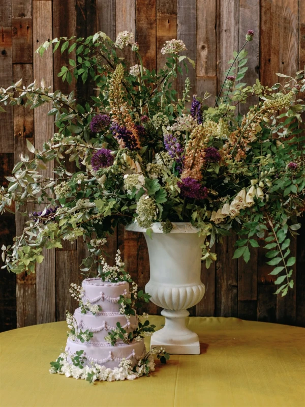 A Mountain Editorial for Ella and Henry