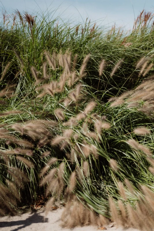 An Artisanal Wedding for  Émilie and Jean-Philippe