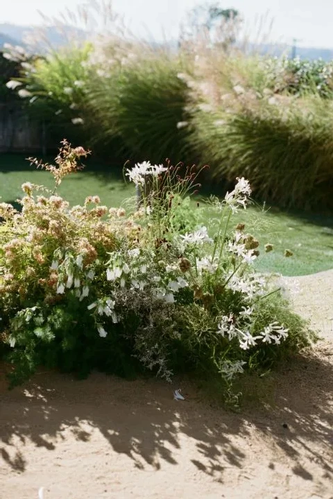 A Napa Wedding That Moved from Olive Grove to Orange Velvet