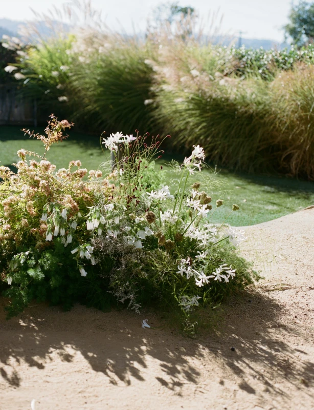 A Napa Wedding That Moved from Olive Grove to Orange Velvet