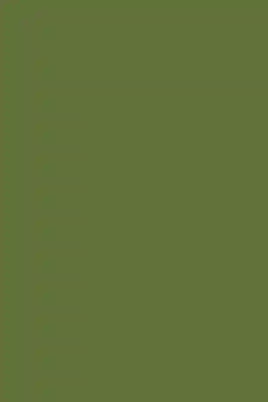 A Garden Wedding for Emily and Duncan