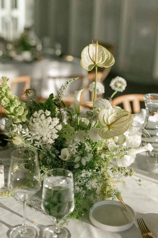 A Modern Wedding for Emily and Jared