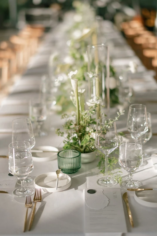 A Modern Wedding for Emily and Jared