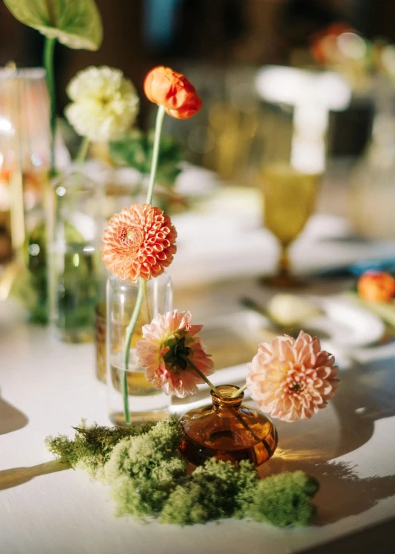 A Vibrant Wedding for Emily and Jason