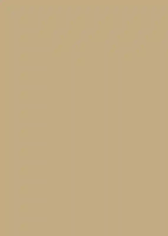 A Vibrant Wedding for Emily and Jason