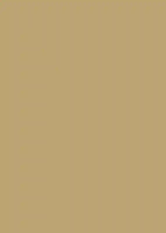 A Vibrant Wedding for Emily and Jason