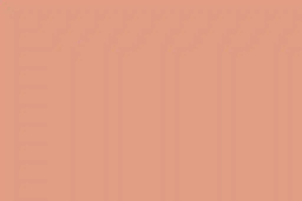 A Vibrant Wedding for Emily and Jason