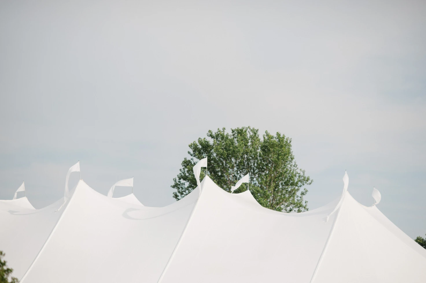 Emily Millay Photography