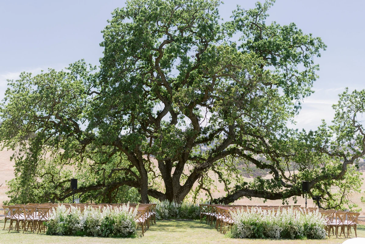 An Outdoor Wedding for Emma and Taylor