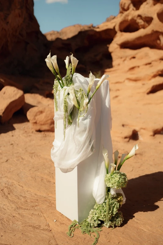 A Desert Wedding for Erica and Trey