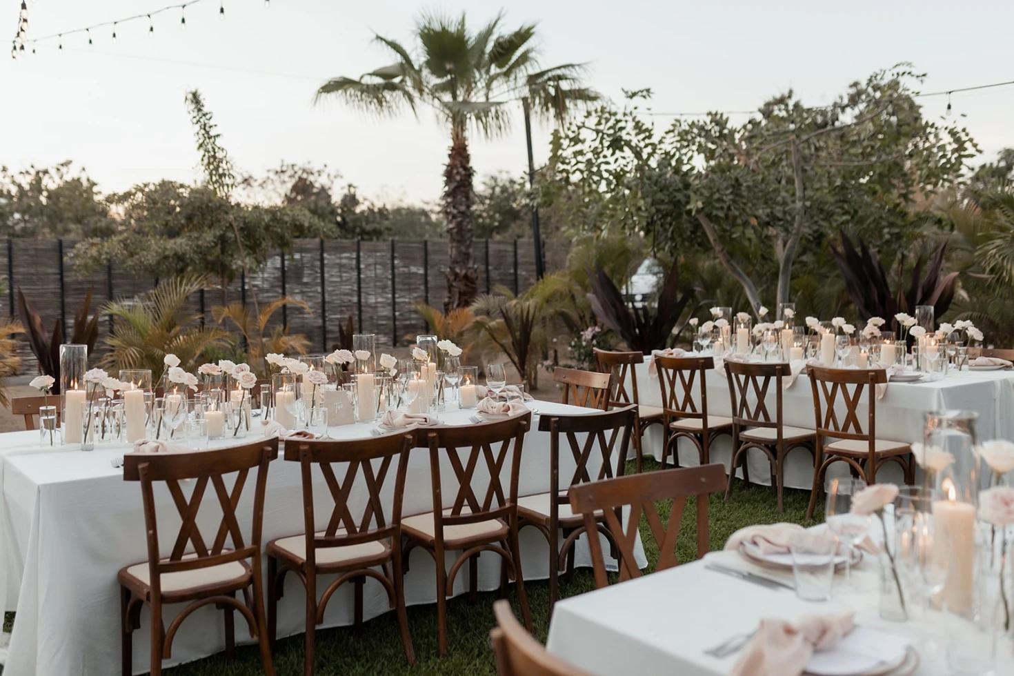 Estefani Pina Events