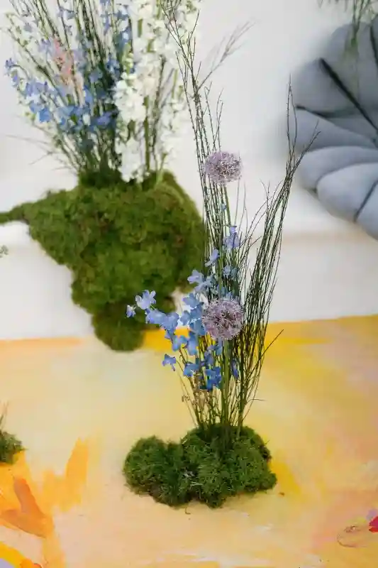 Where Color Comes to Play