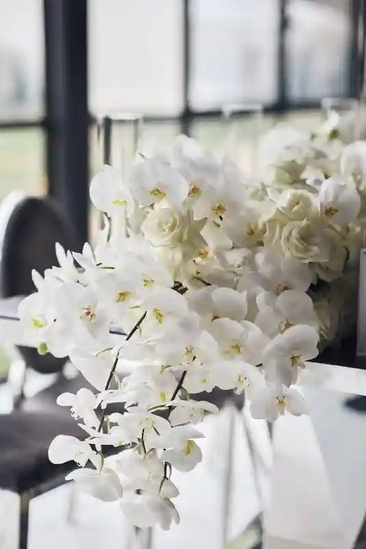 A Luxury Wedding for Esther and Samuel