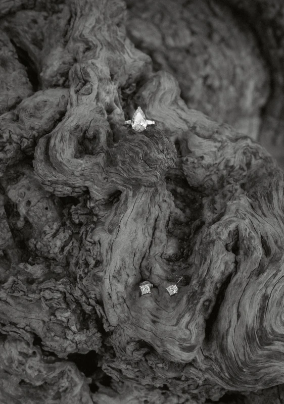 A Timeless Wedding for Eva and Taylor