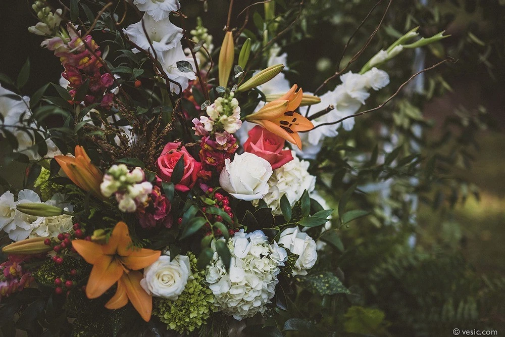 A Wedding for Sarah and Robert