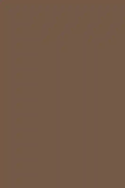 A Wedding for Aileen and Manoj