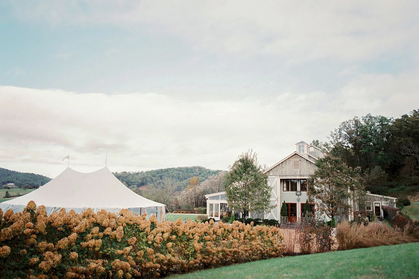 See more fall weather weddings at Pippin Hill Farm & Vineyards