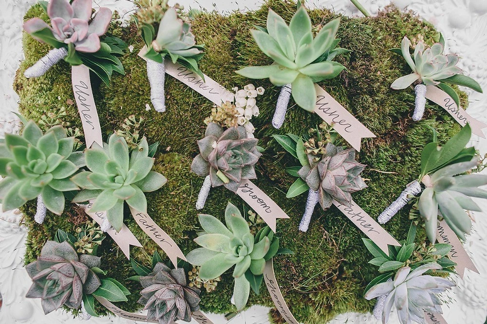 A Wedding for Kristin and Varun