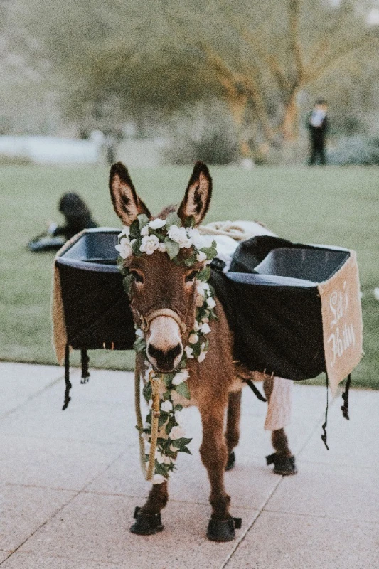 A Classic Wedding for Becca and Will